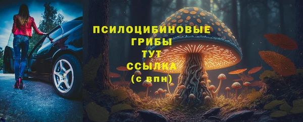 не бодяженный Белокуриха