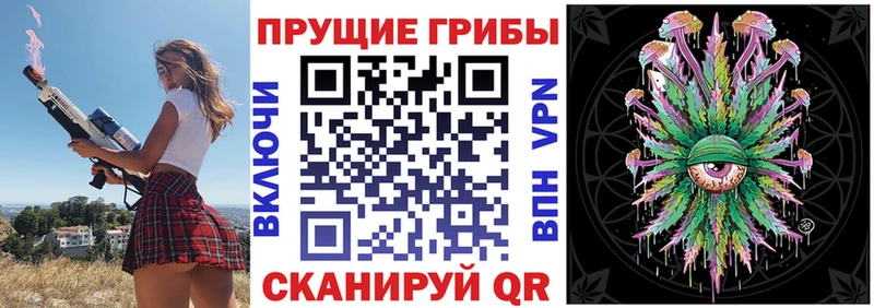 Псилоцибиновые грибы MAGIC MUSHROOMS  Сланцы 